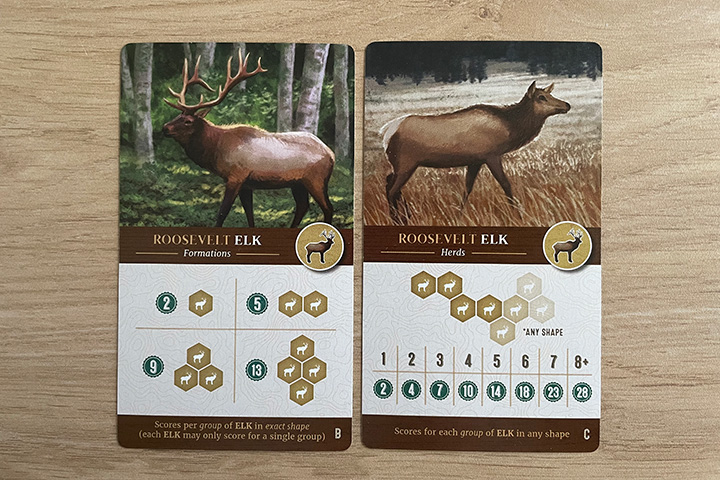 Two different scoring cards for elks. You can see how they add variety.